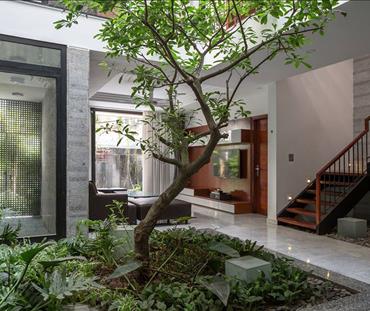 D House - Nhà tự nhiên