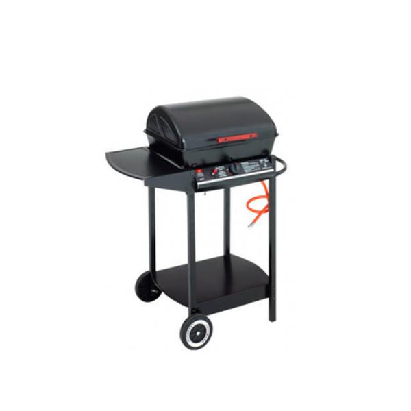 Bếp nướng dùng gas BBQ Landmann 12371