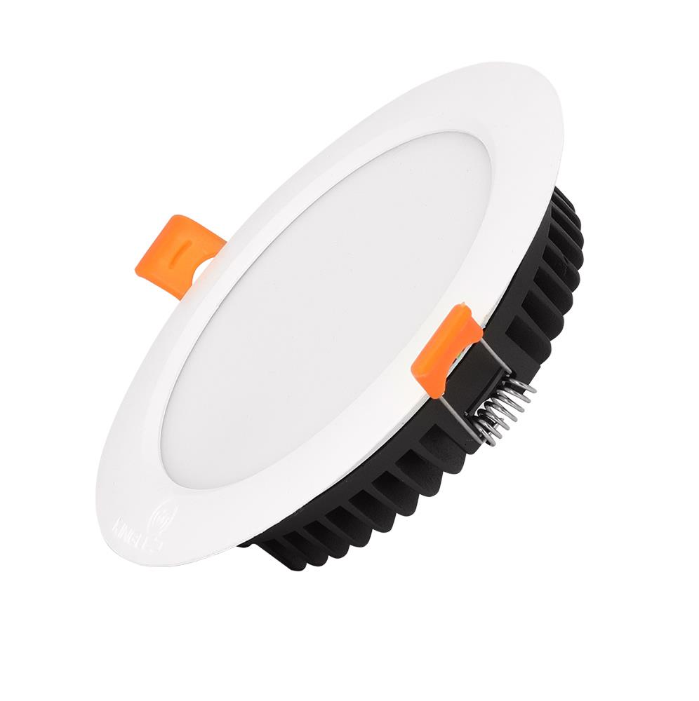 Đèn LED downlight 12W 1 màu