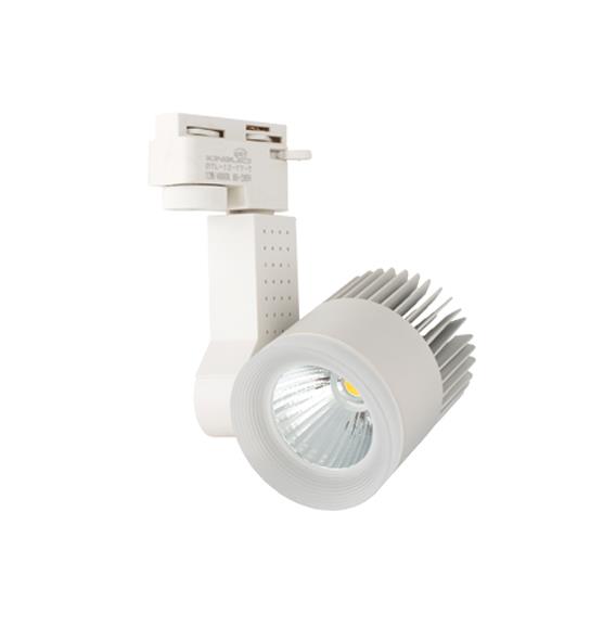 Đèn RỌI RAY 20W DTL-20