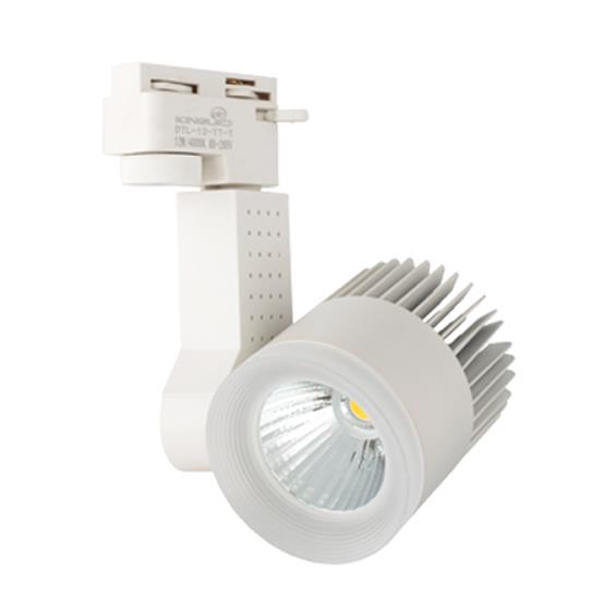 Đèn RỌI RAY 30W DTL-30