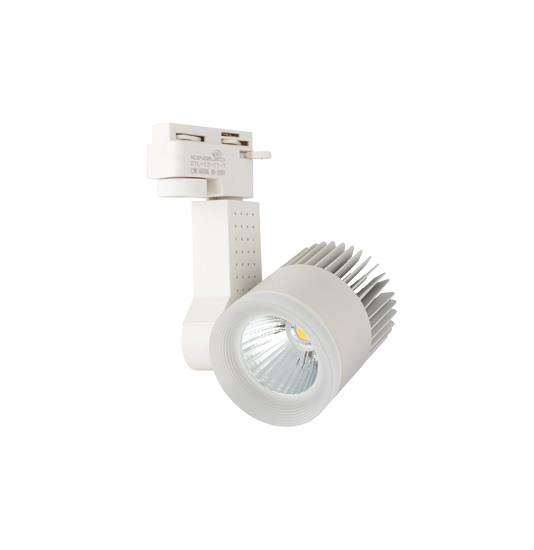 Đèn RỌI RAY 12W trắng