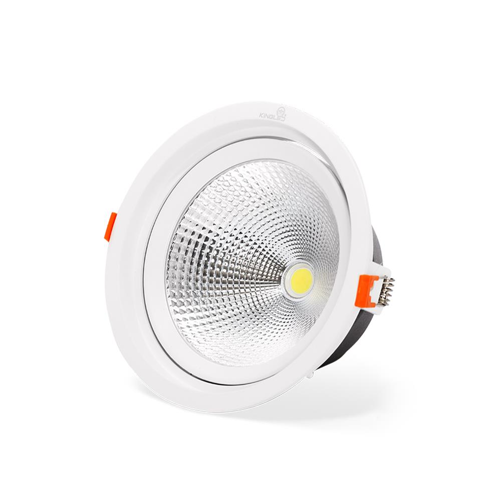 Đèn LED spotlight tròn 20W