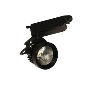 Đèn RỌI RAY 15W DTL-15